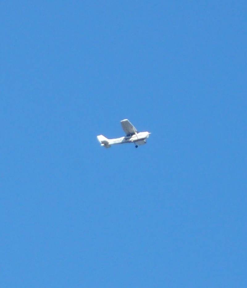 N713JK - Single-engine aircraft