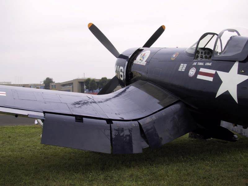  - Warbird