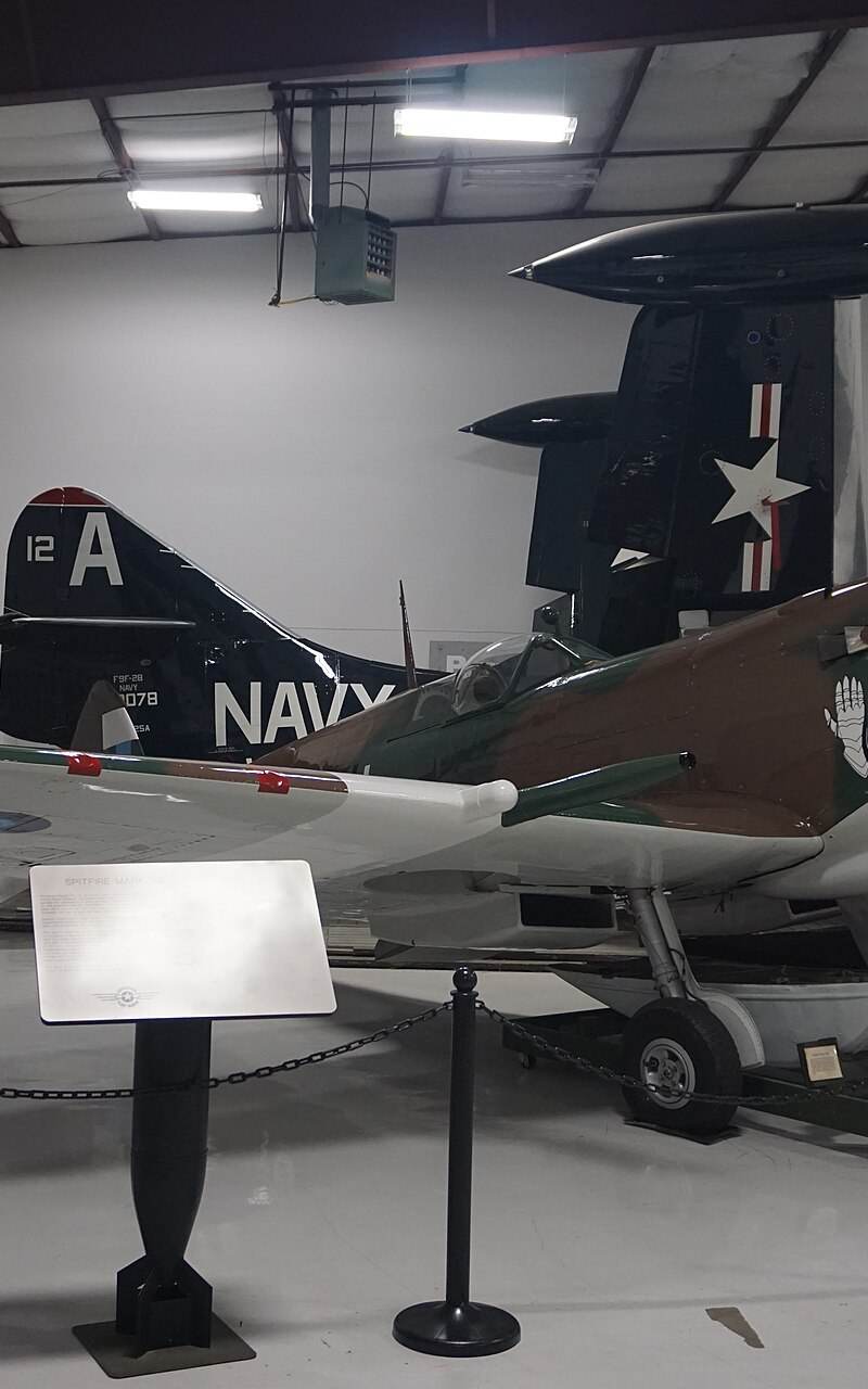  - Warbird