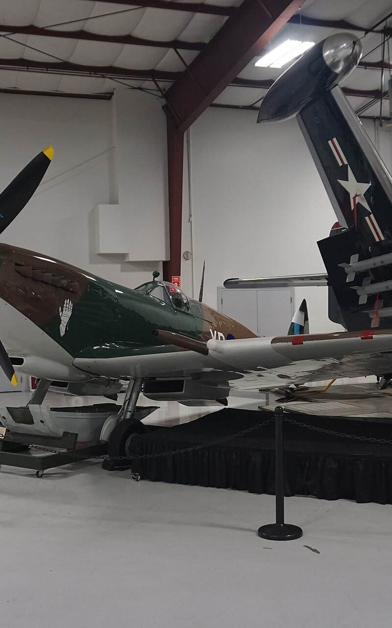  - Warbird