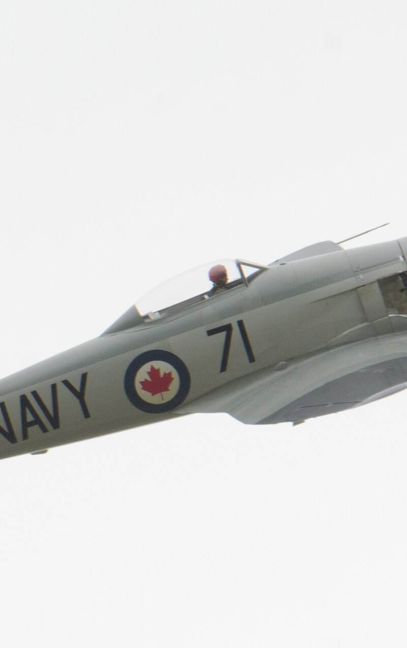 N71GB - Warbird