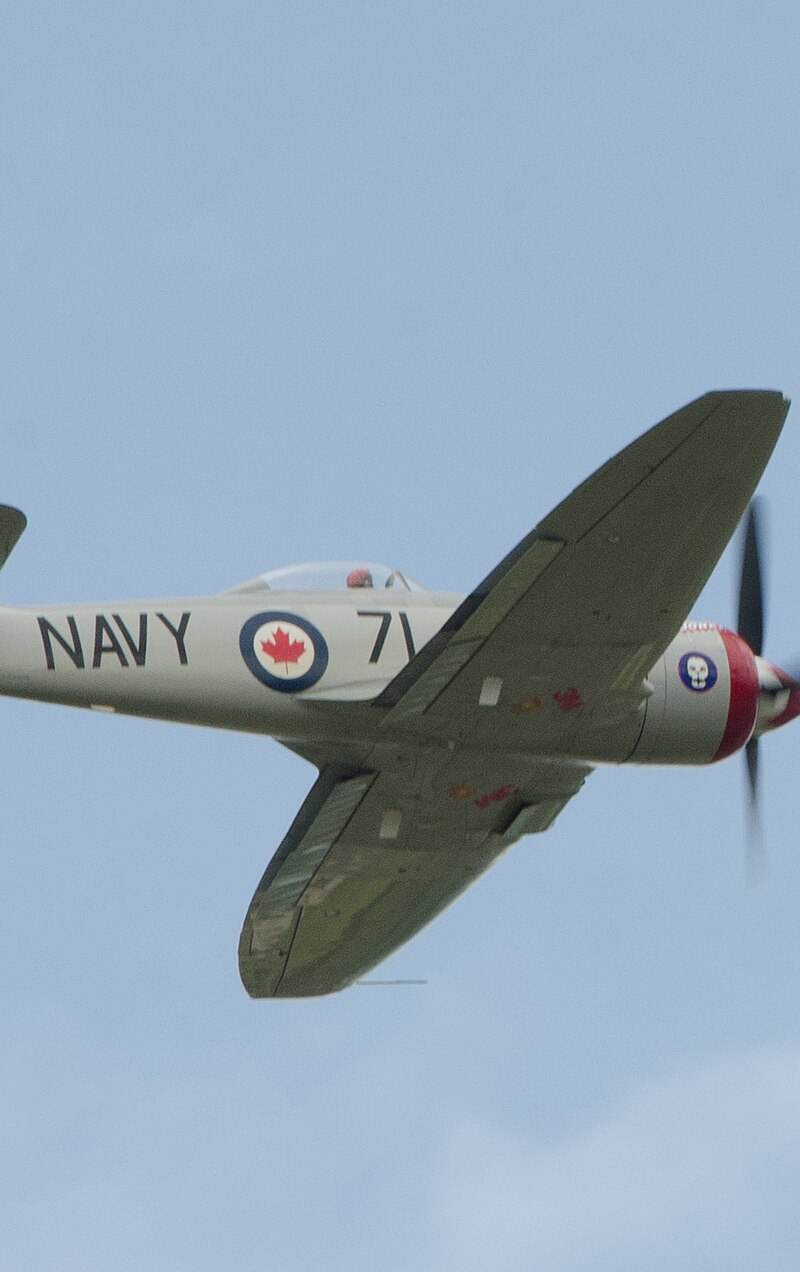 N71GB - Warbird