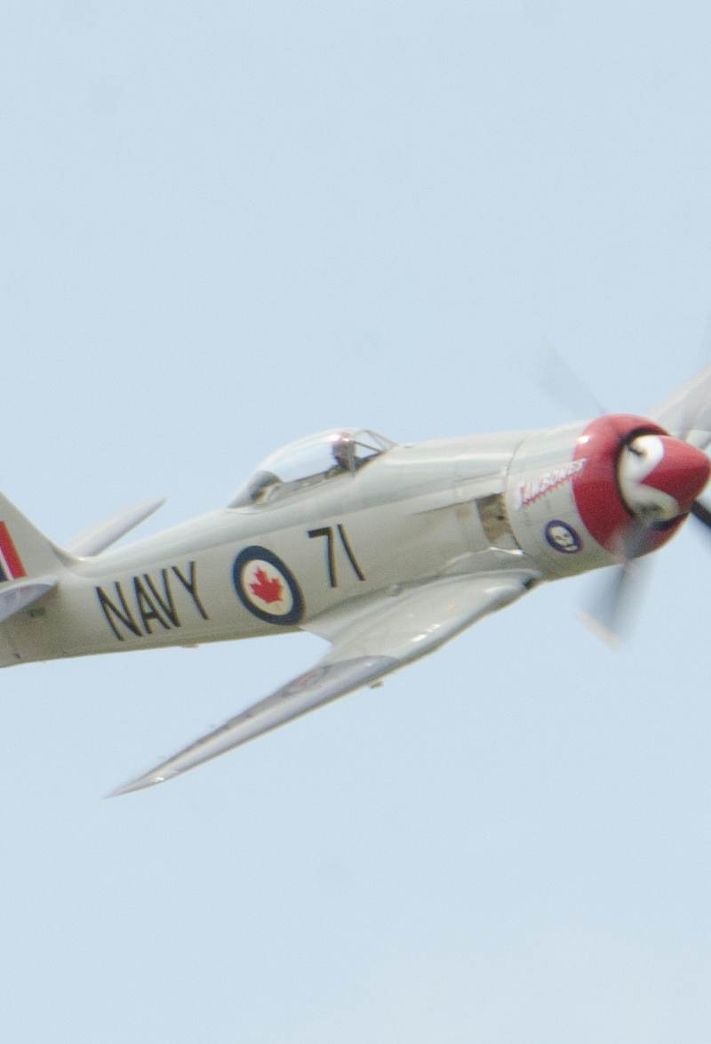 N71GB - Warbird