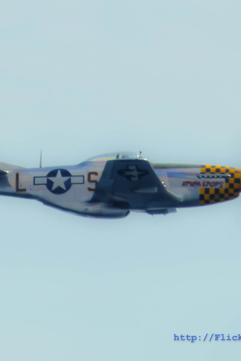  - Warbird