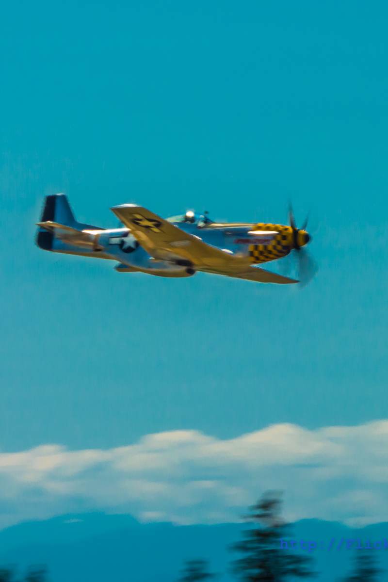  - Warbird