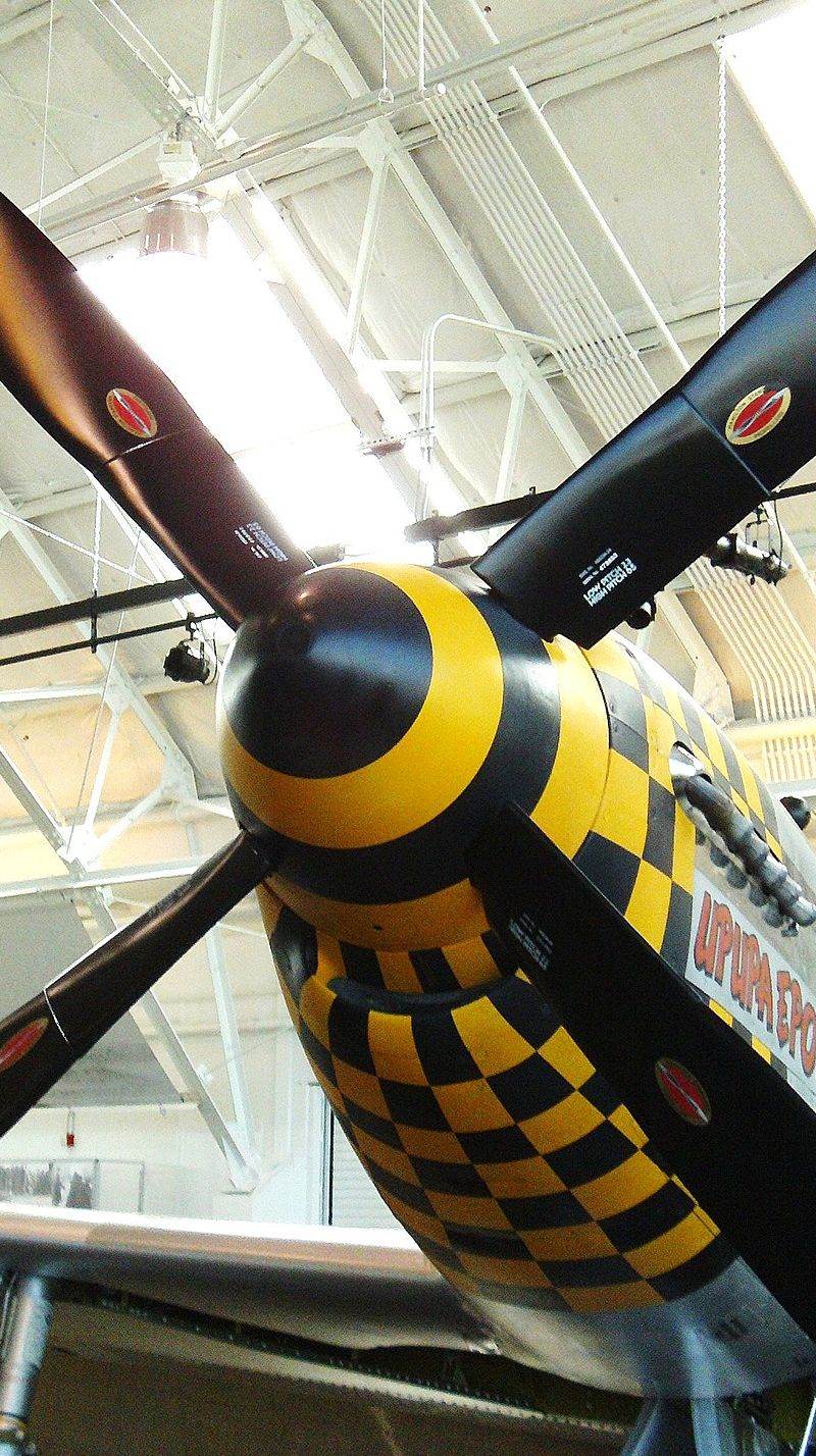  - Warbird