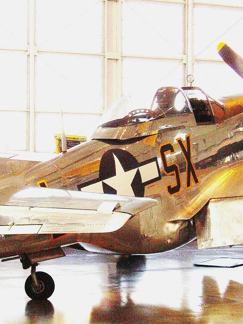  - Warbird