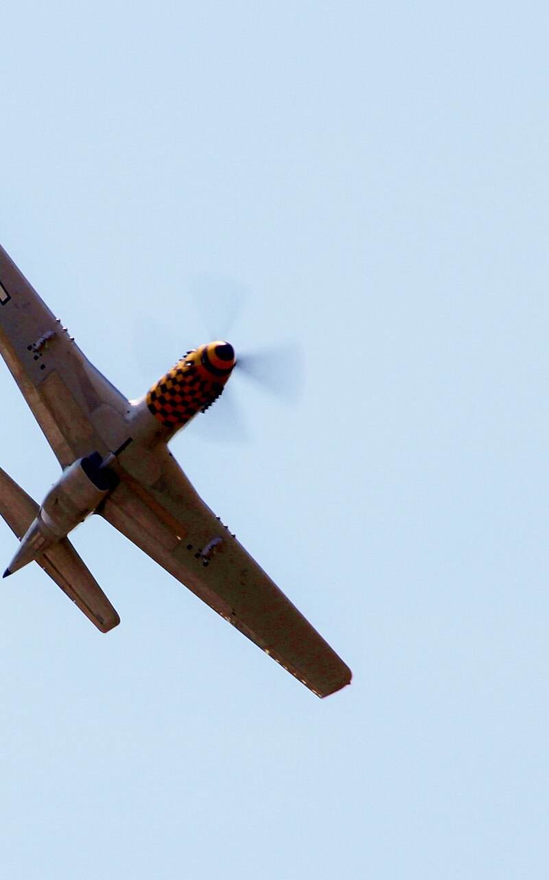  - Warbird