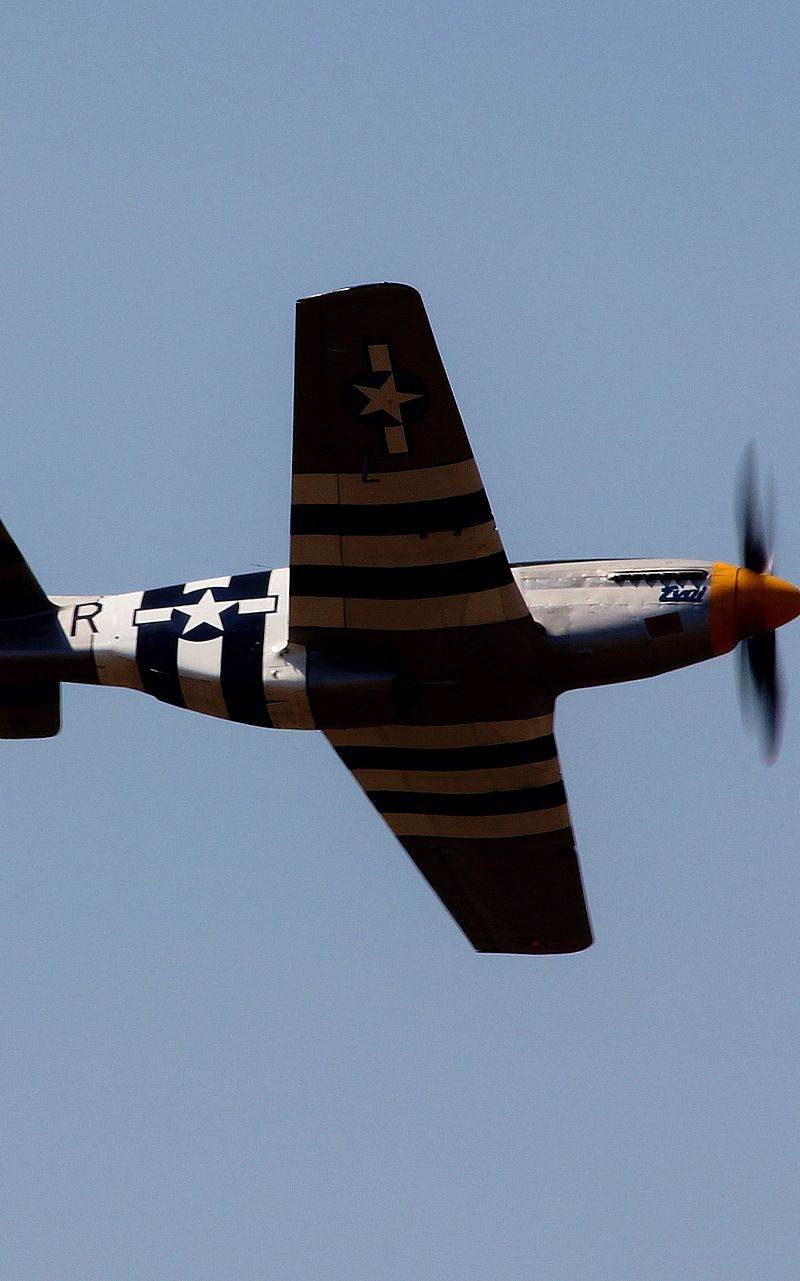  - Warbird