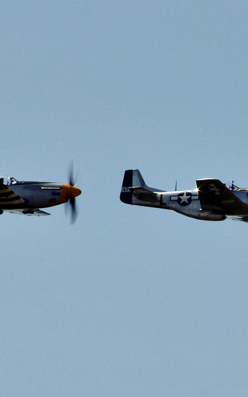  - Warbird