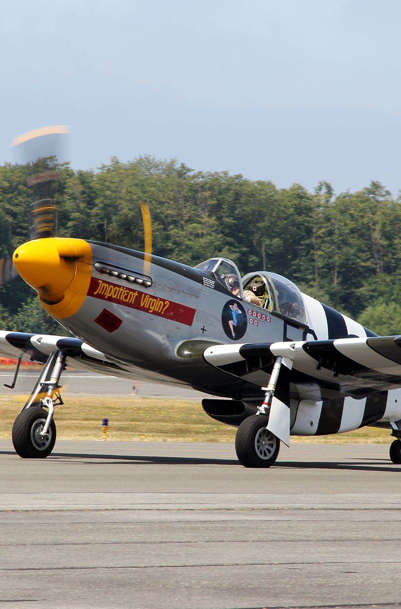 N5087F - Warbird