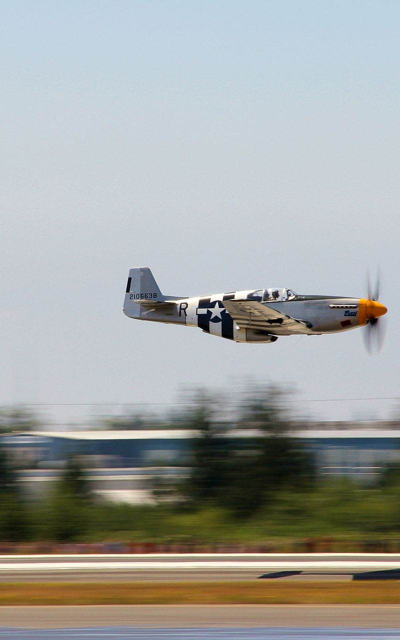 N5087F - Warbird
