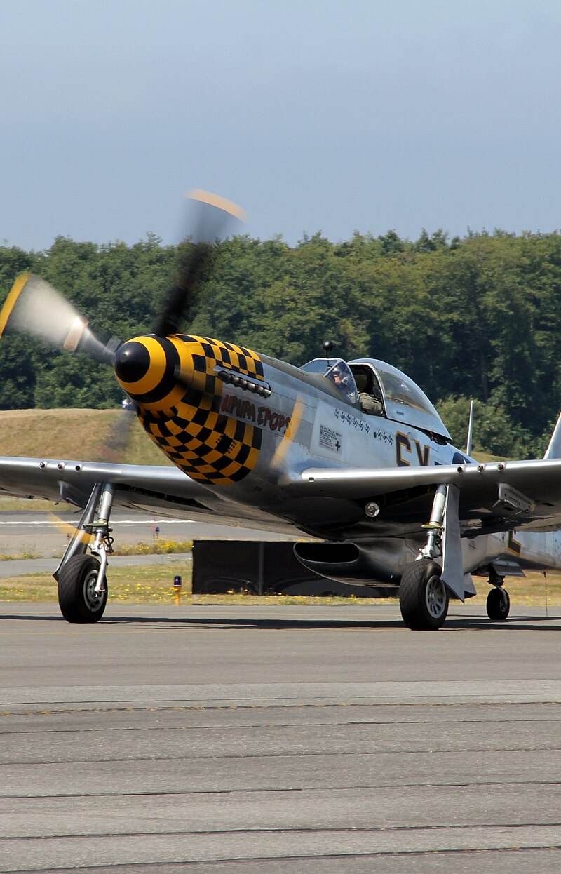  - Warbird
