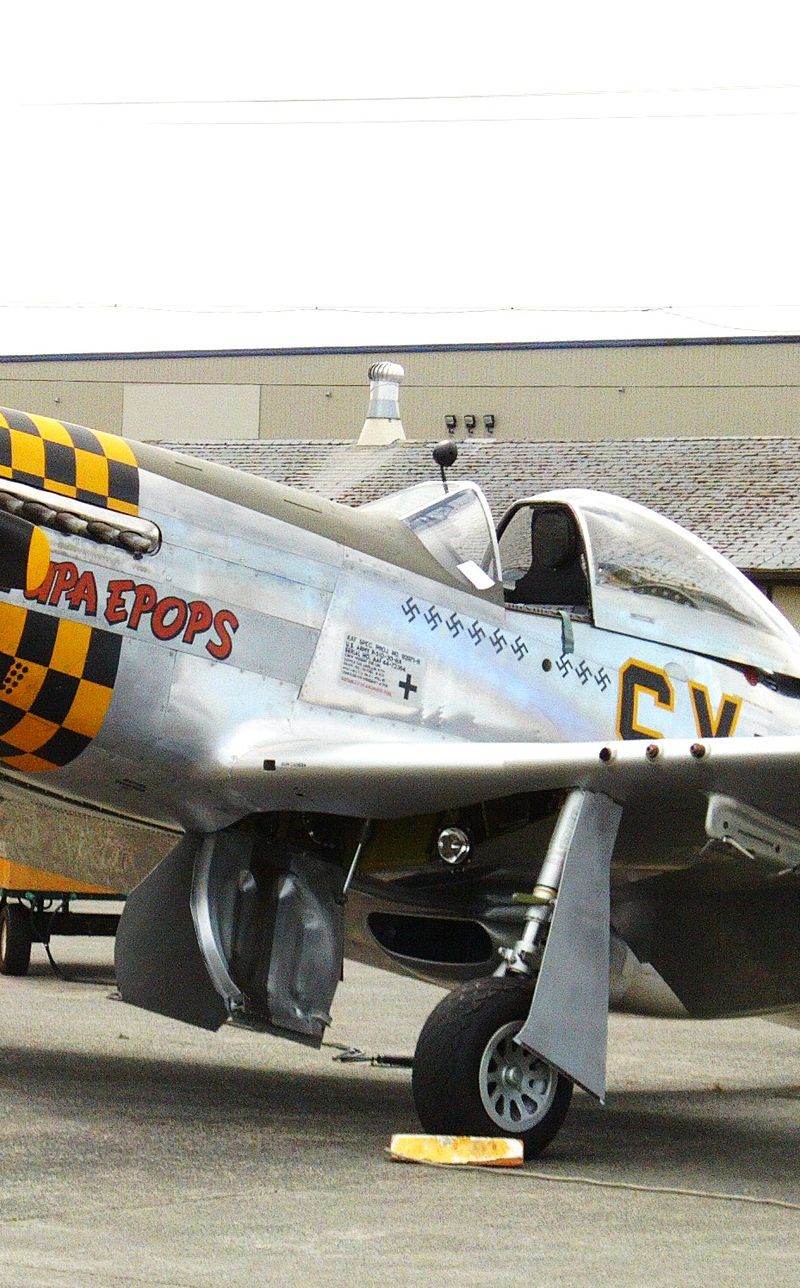  - Warbird