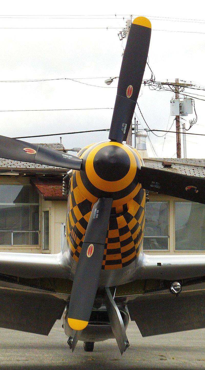 - Warbird
