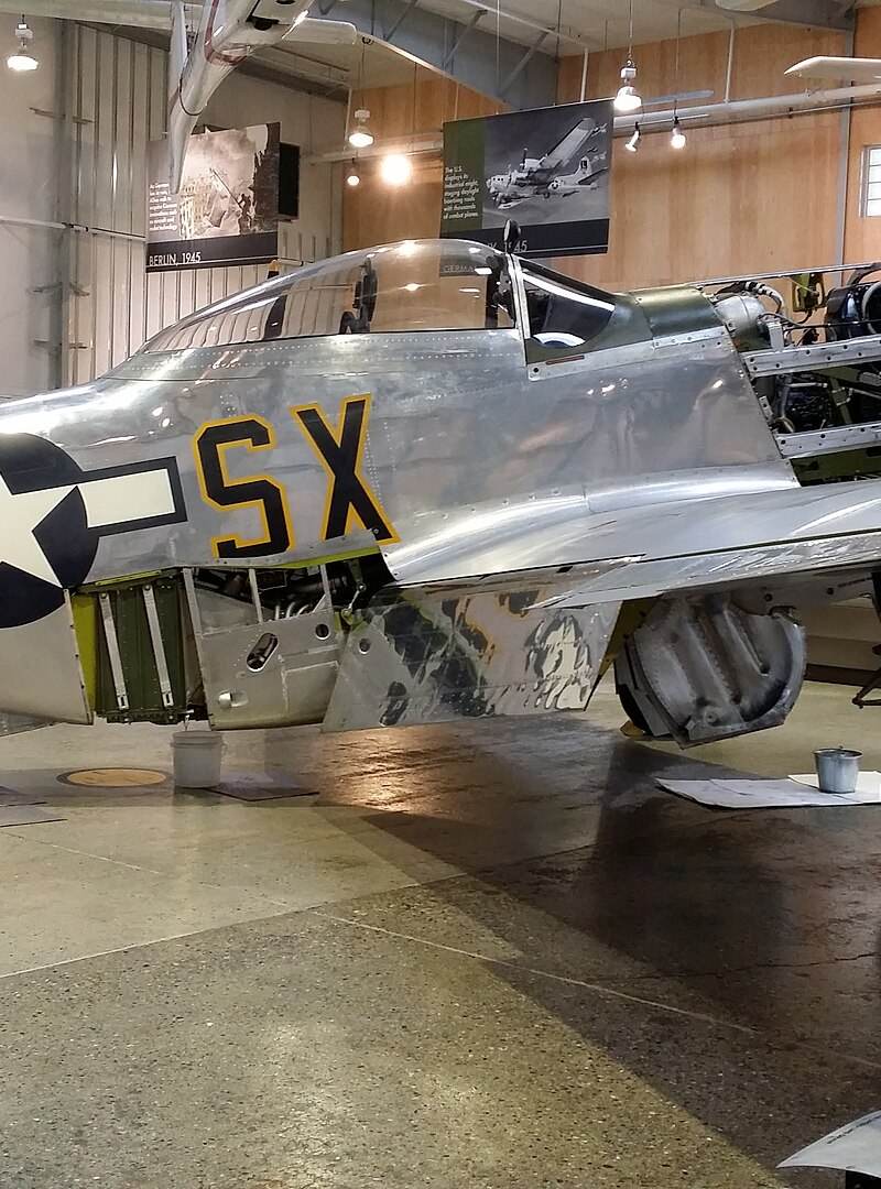  - Warbird