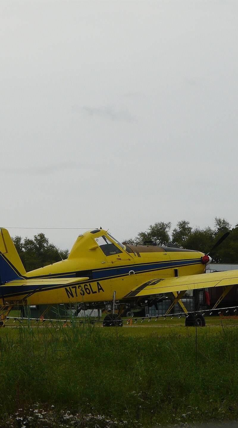 N736LA - Single-engine aircraft