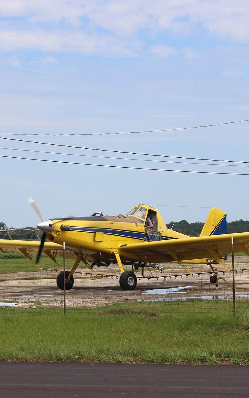 N736LA - Single-engine aircraft