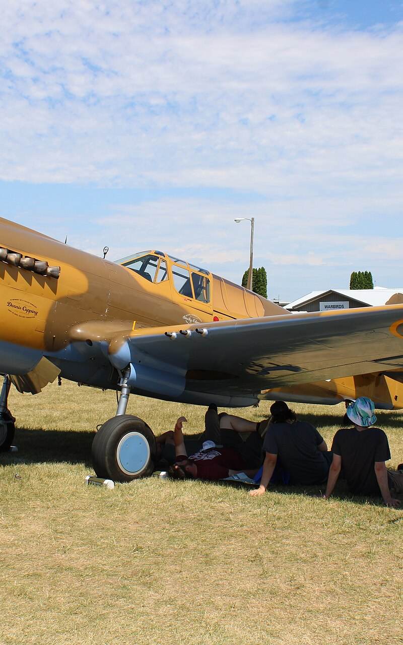  - Warbird