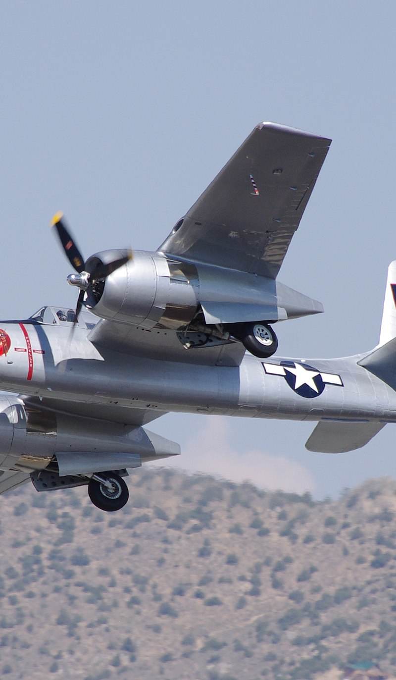  - Warbird