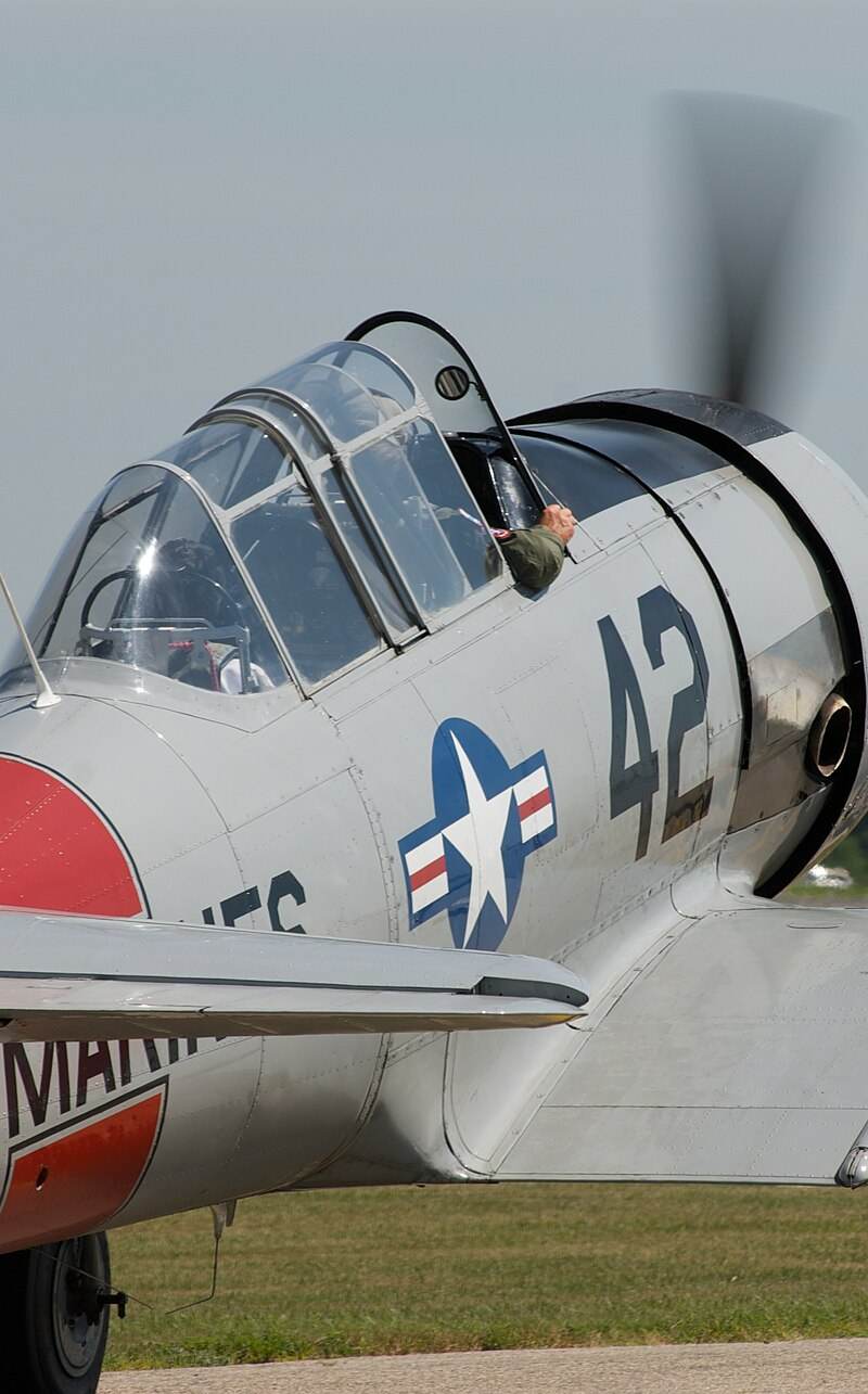 N77TX - Warbird