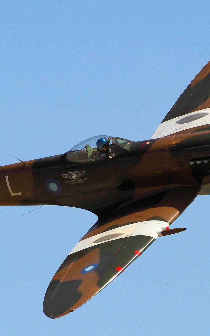  - Warbird