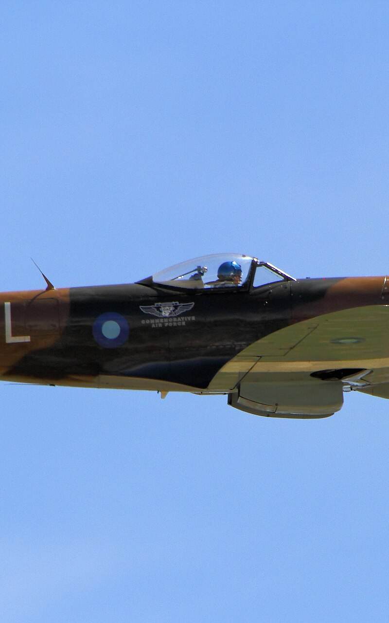  - Warbird