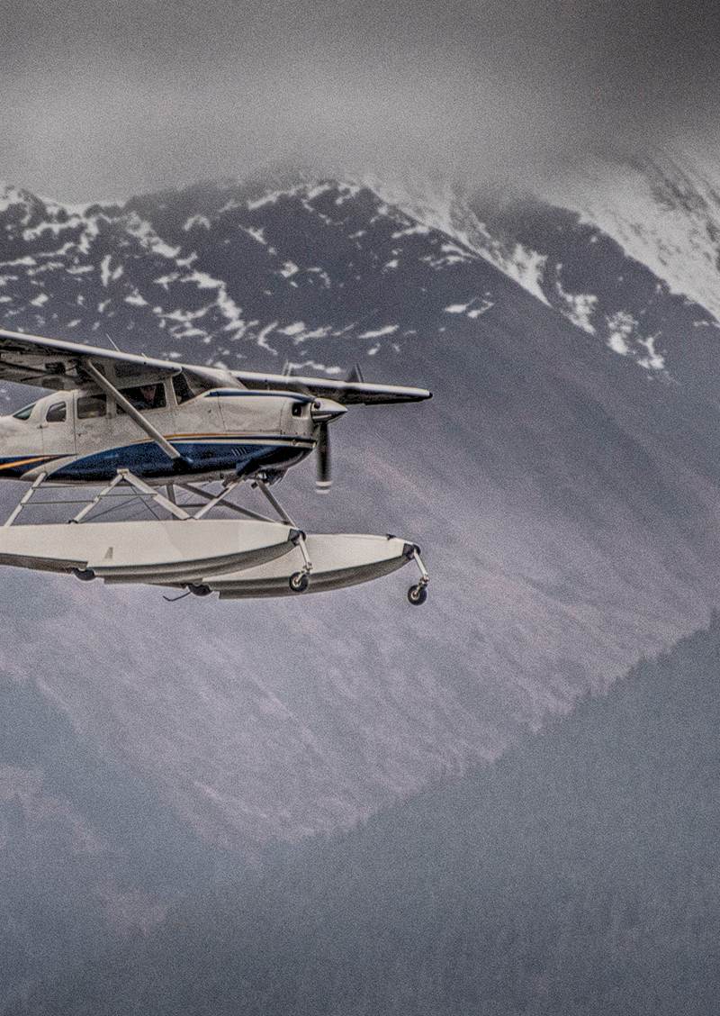 N749KP - Single-engine aircraft