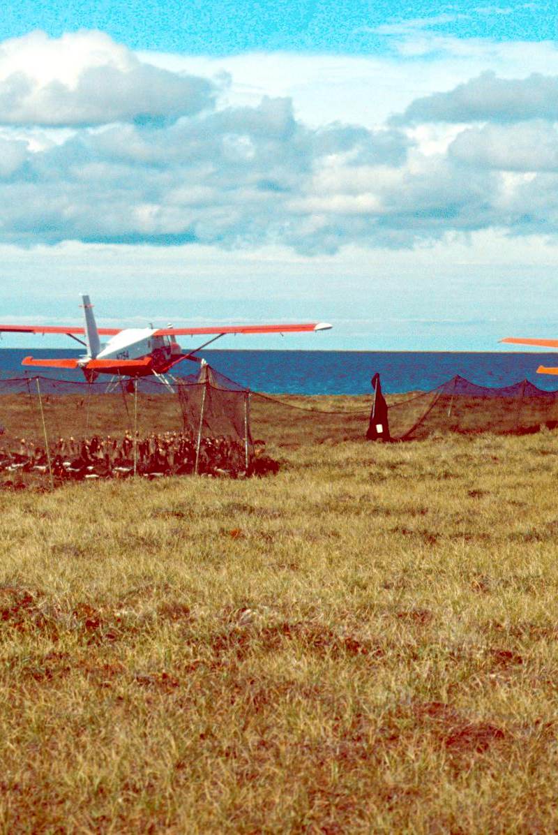 N754 - Single-engine aircraft