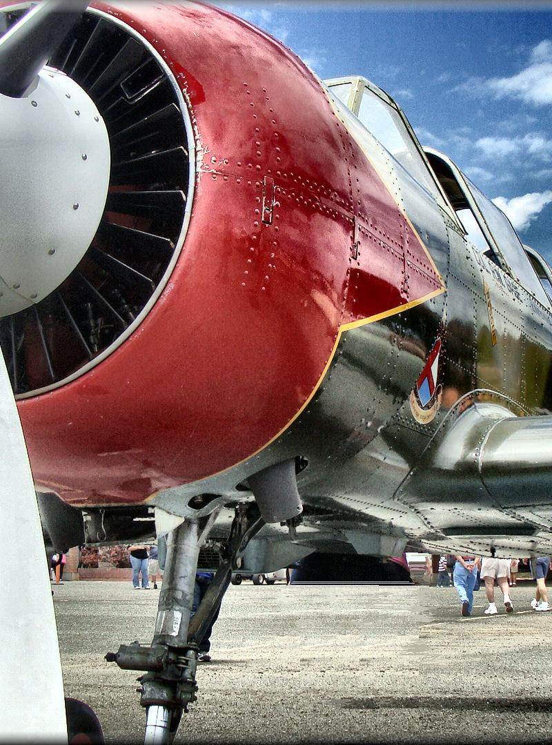 N767RG - Warbird