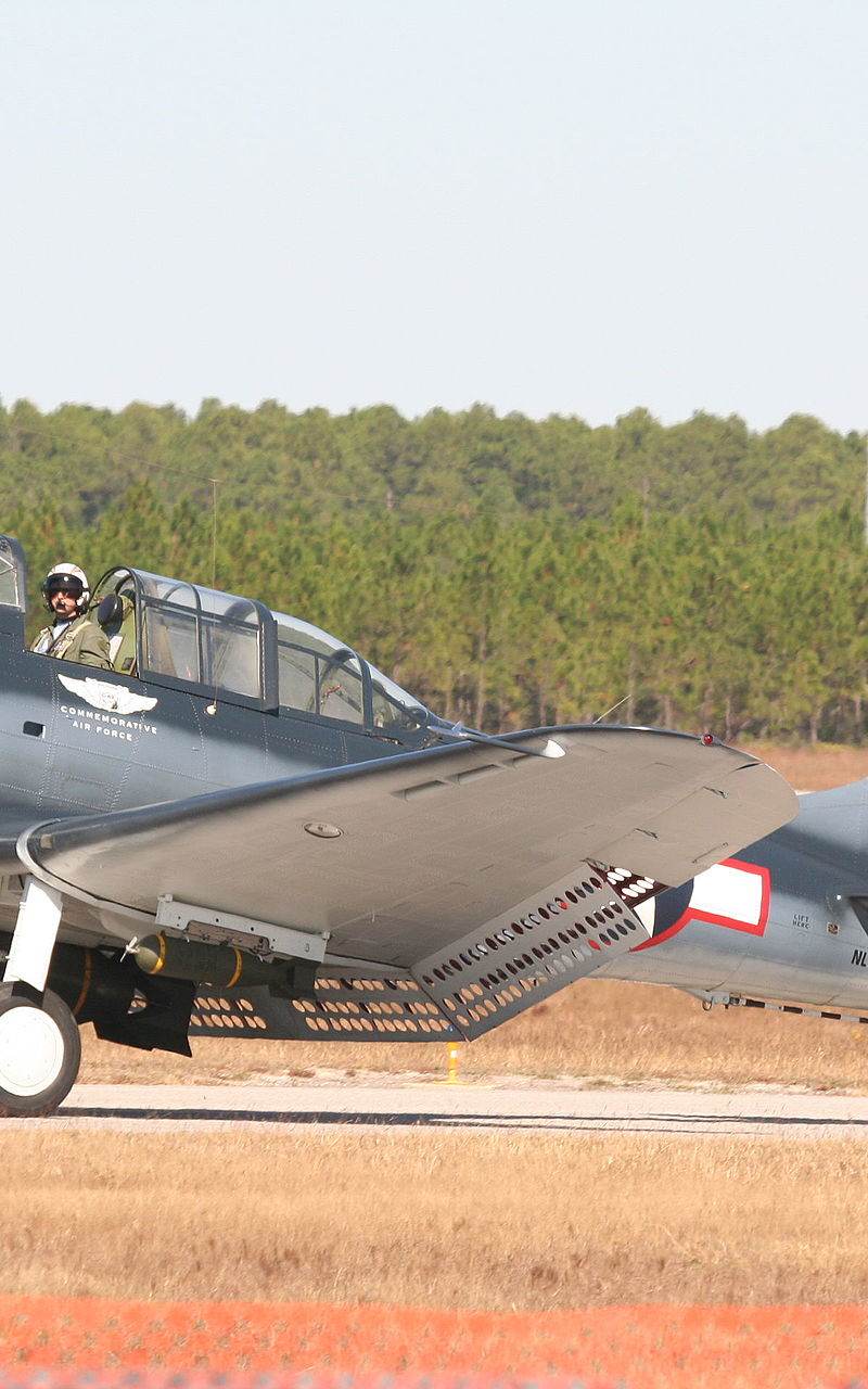  - Warbird