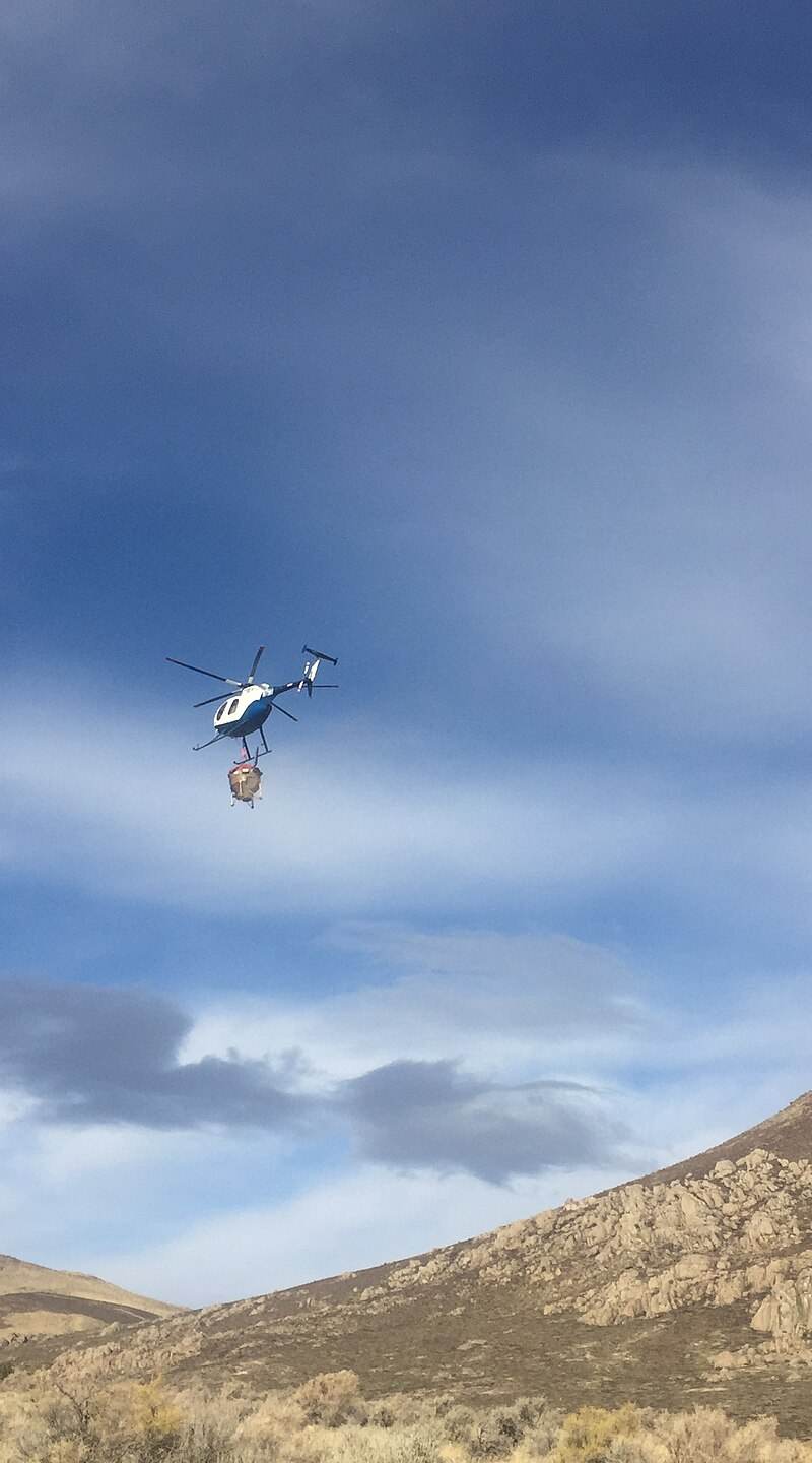 N775BD - Helicopter