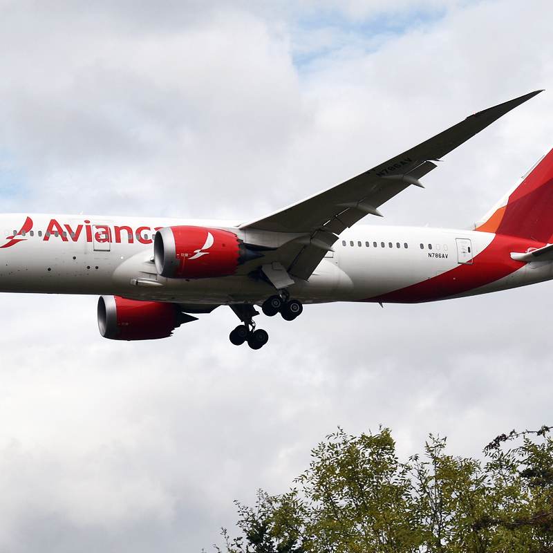 N786AV - Twin-engine aircraft