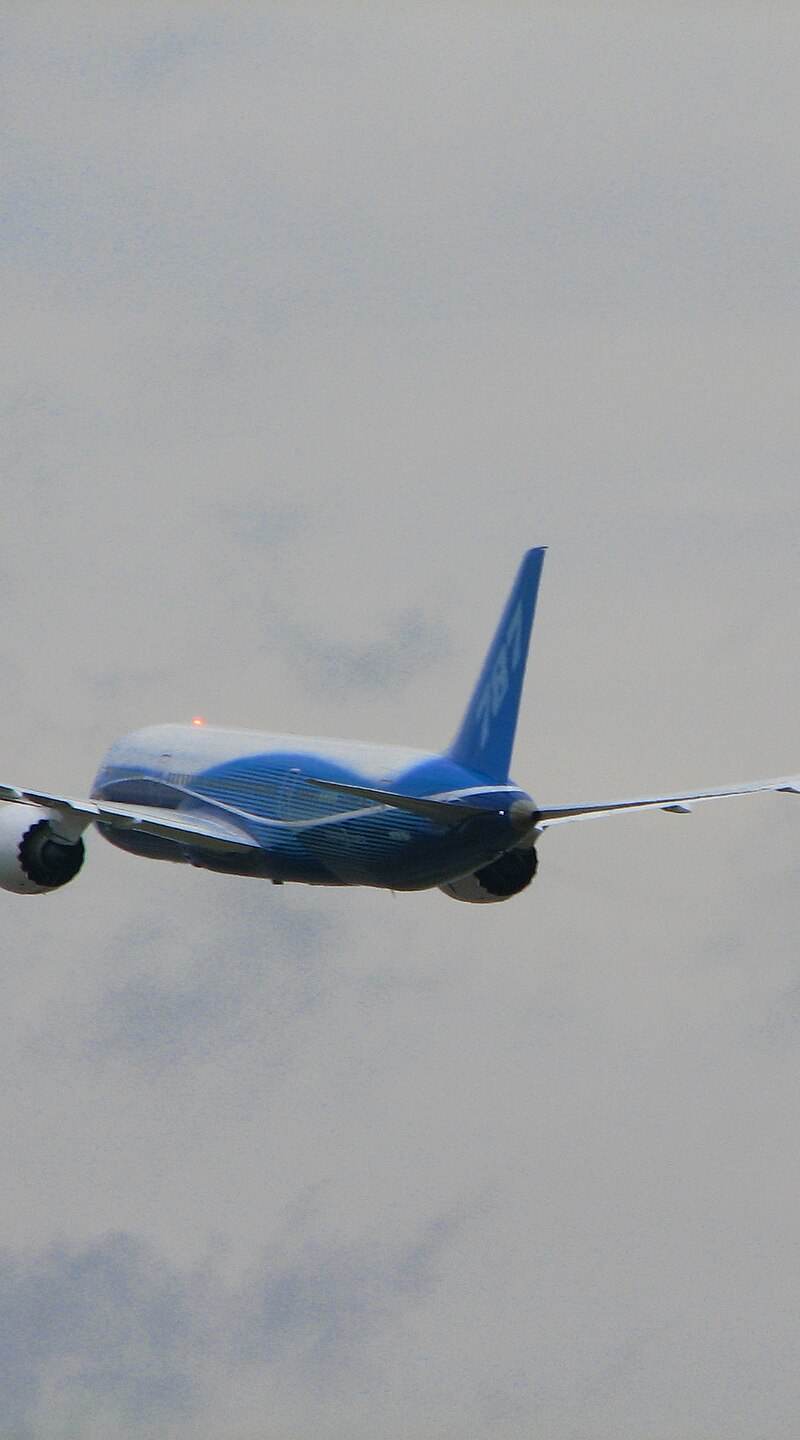N787BA - Aircraft