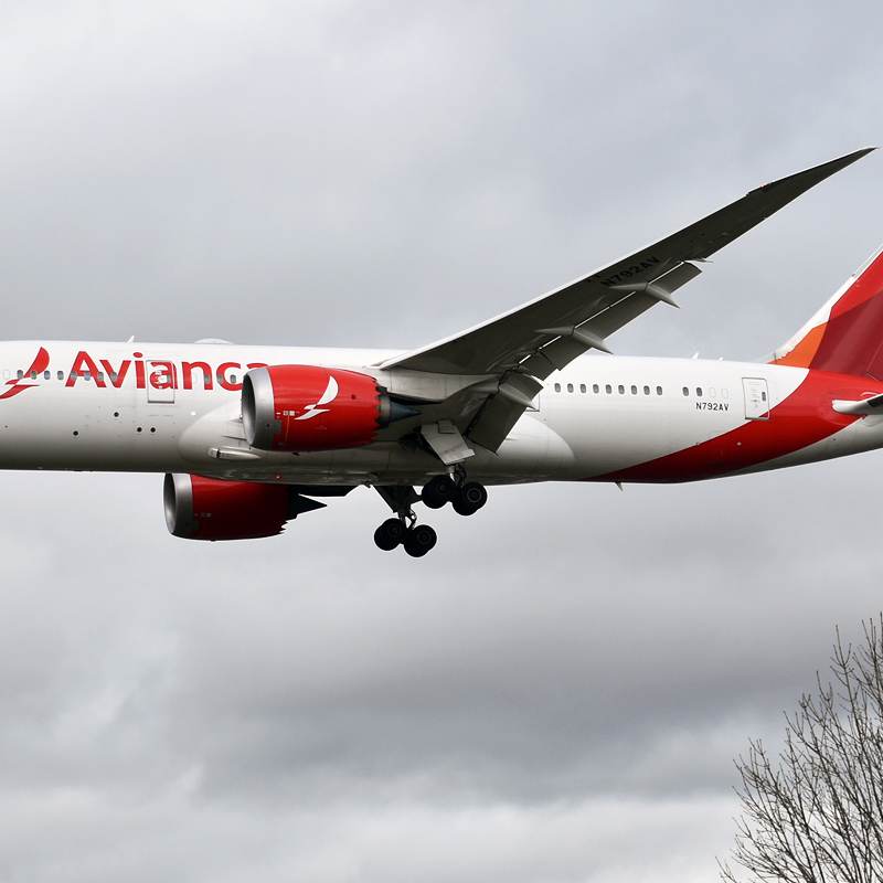 N792AV - Twin-engine aircraft