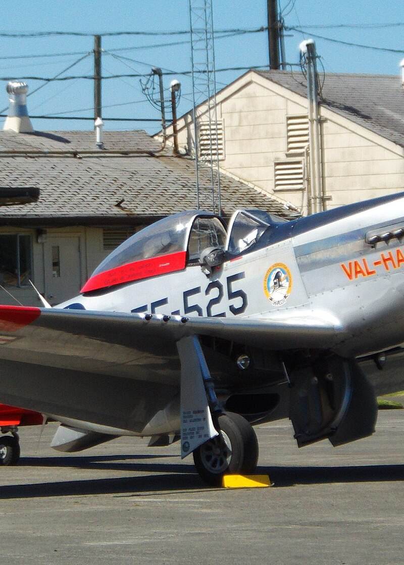  - Warbird