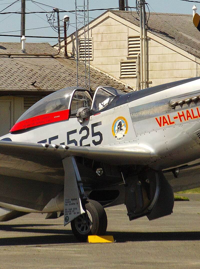  - Warbird