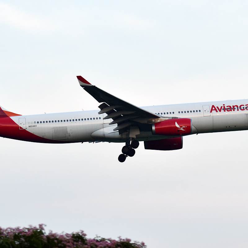 N804AV - Airbus