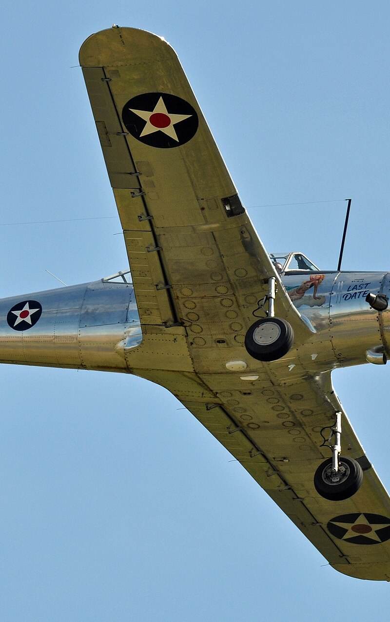 N93 - Warbird