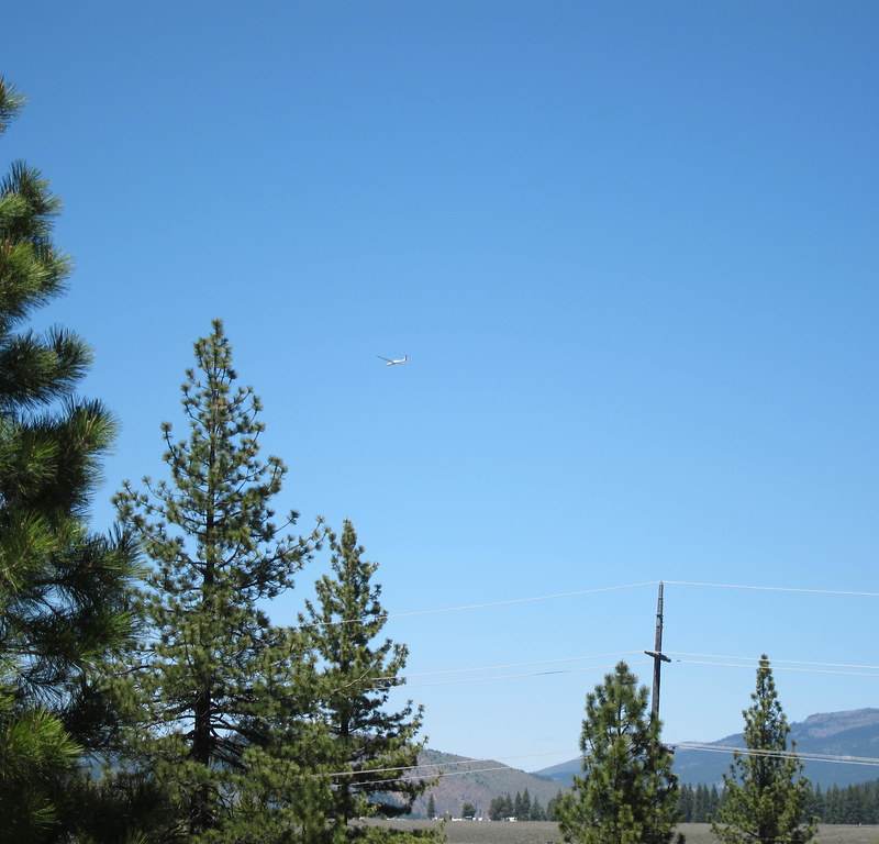 N3981C - Glider