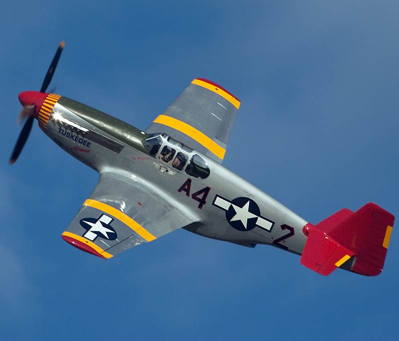 N61429 - Warbird