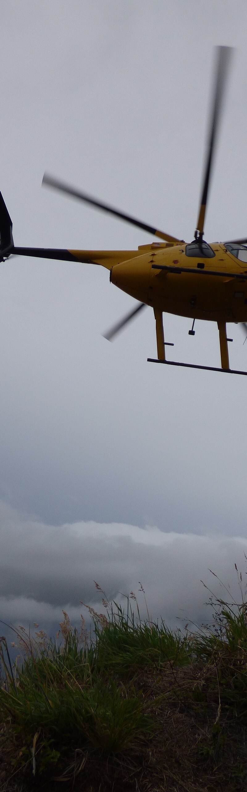 N809WA - Helicopter