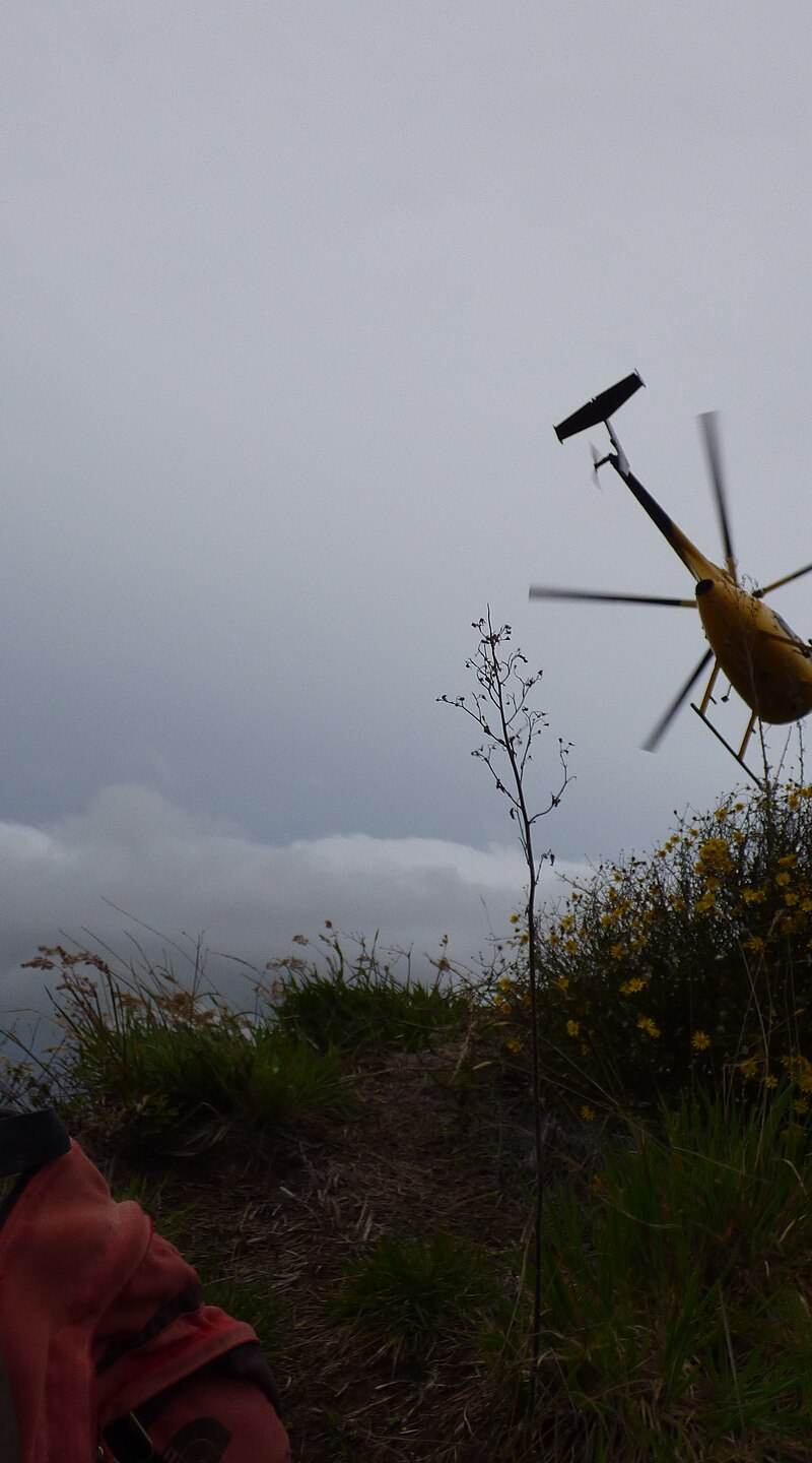 N809WA - Helicopter