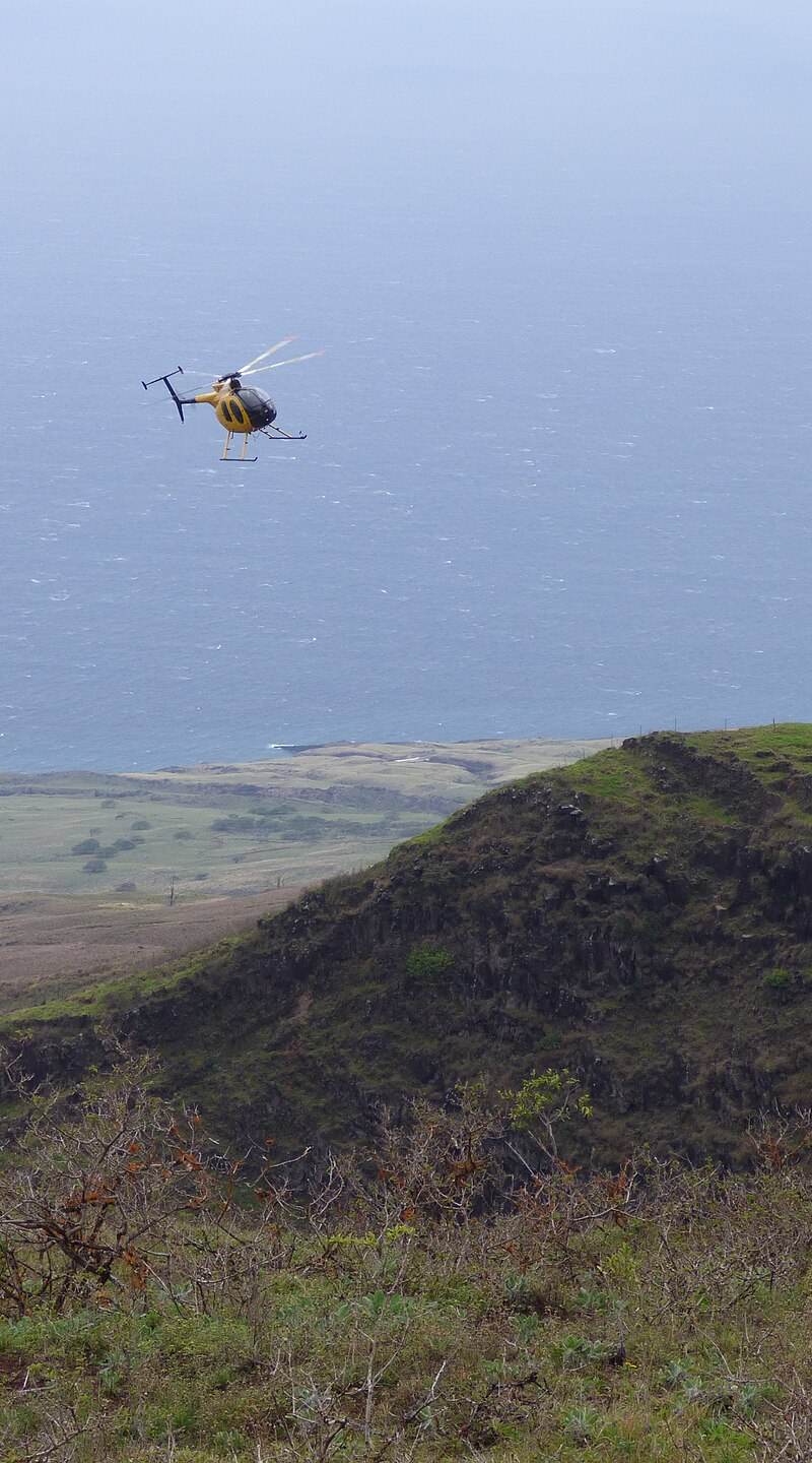 N809WA - Helicopter