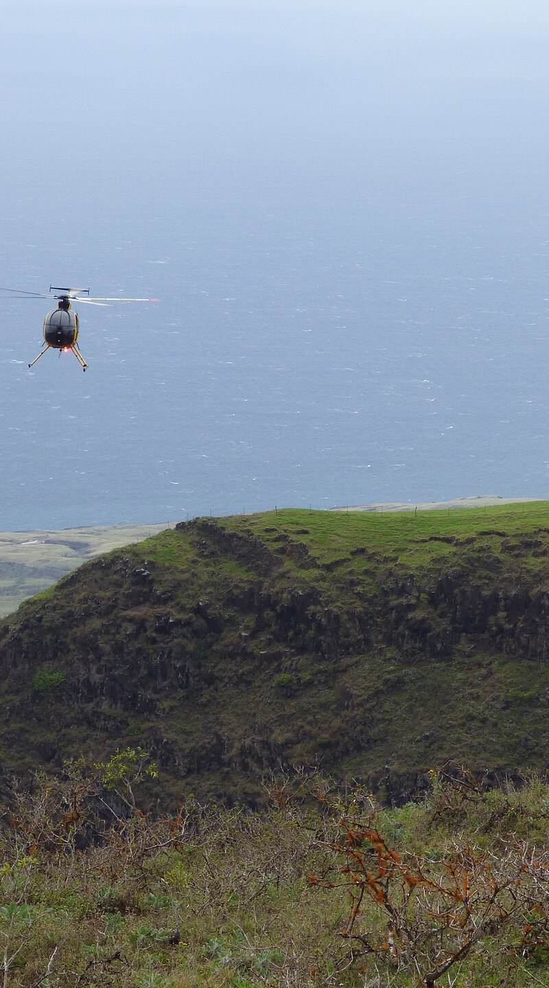 N809WA - Helicopter