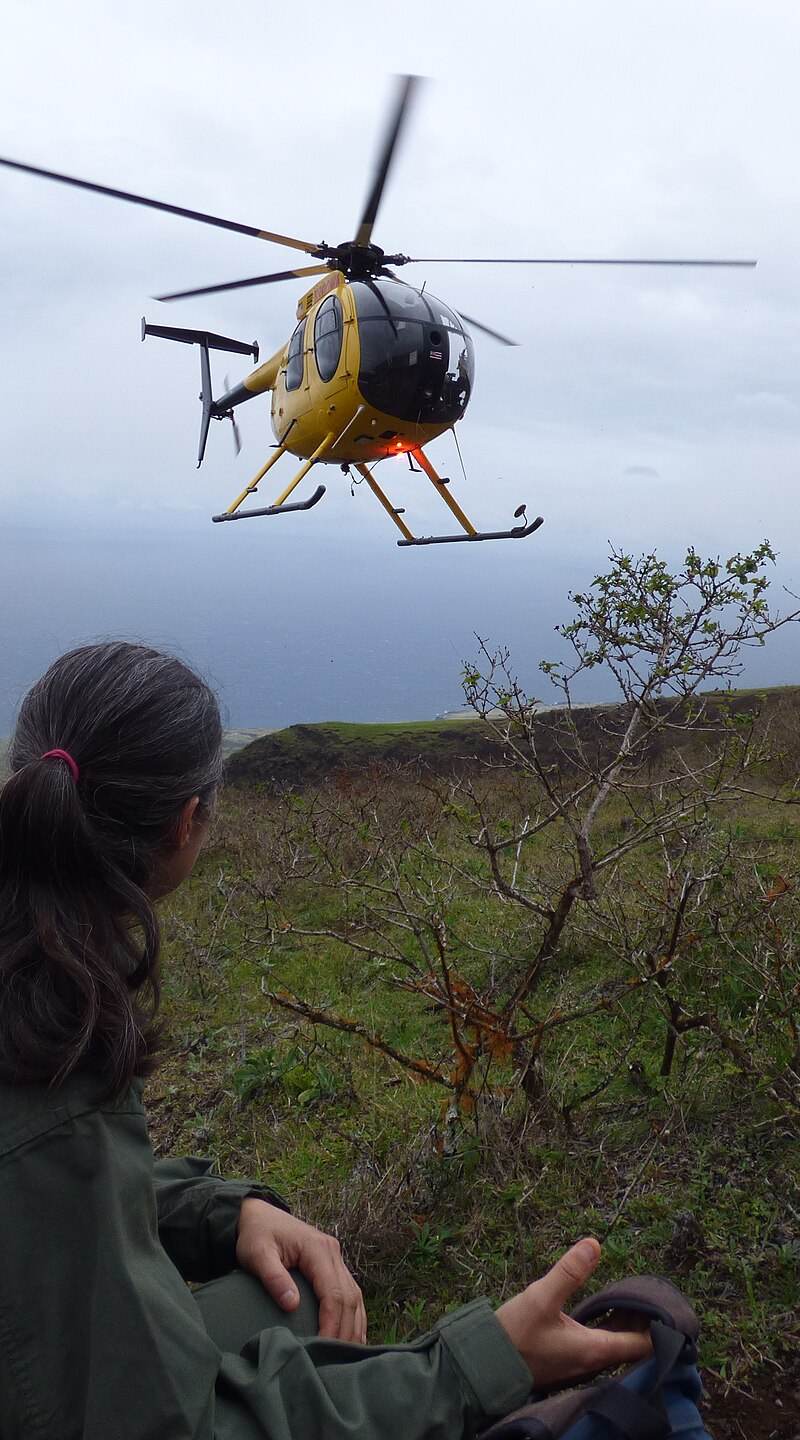 N809WA - Helicopter