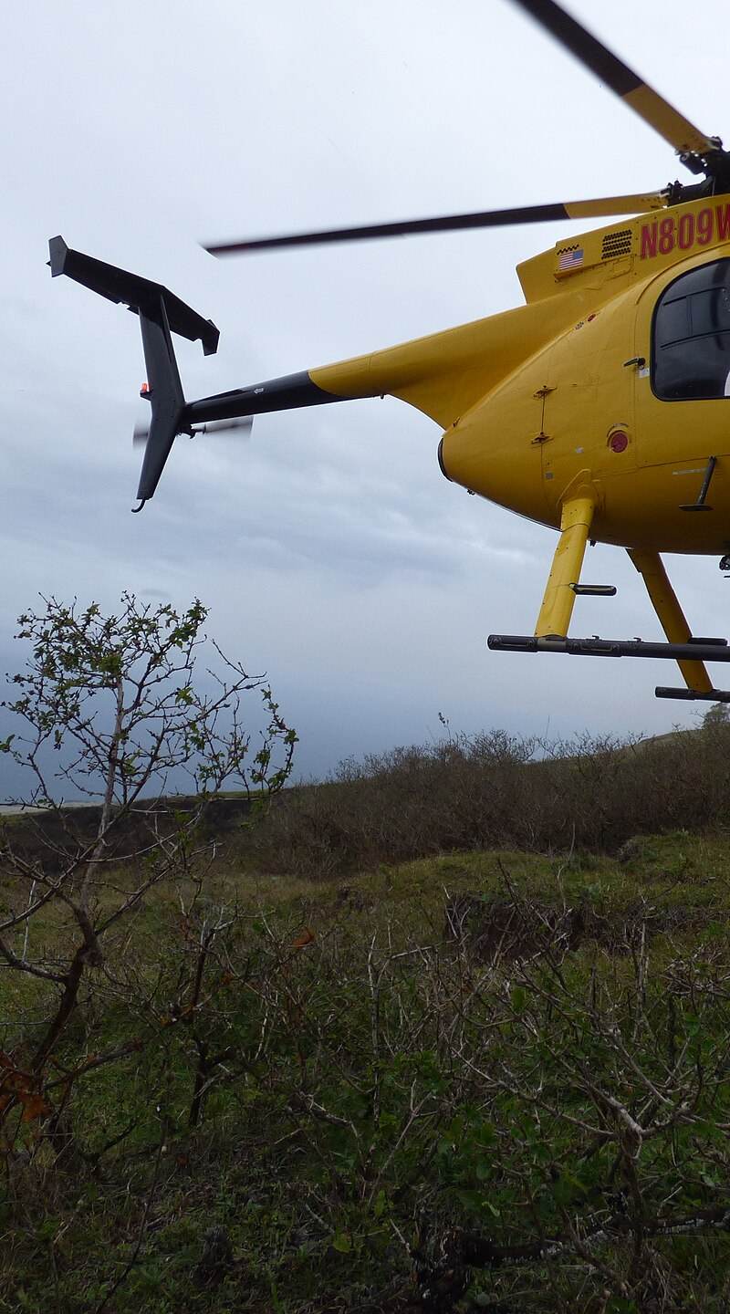 N809WA - Helicopter