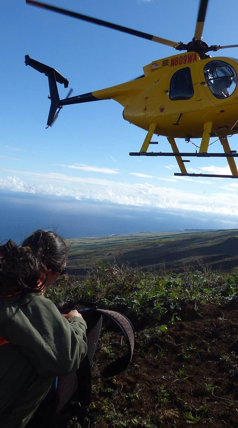 N809WA - Helicopter