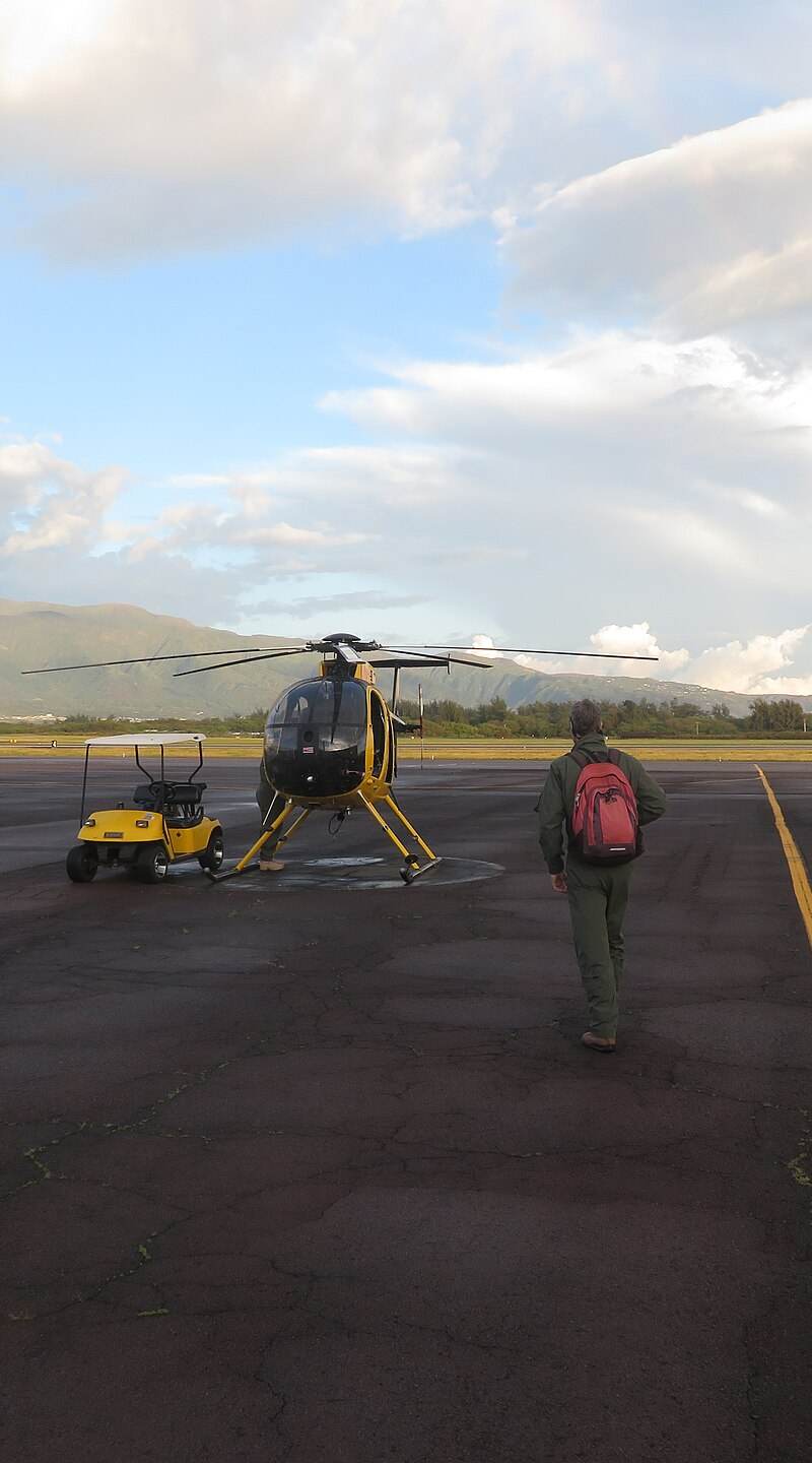 N809WA - Helicopter