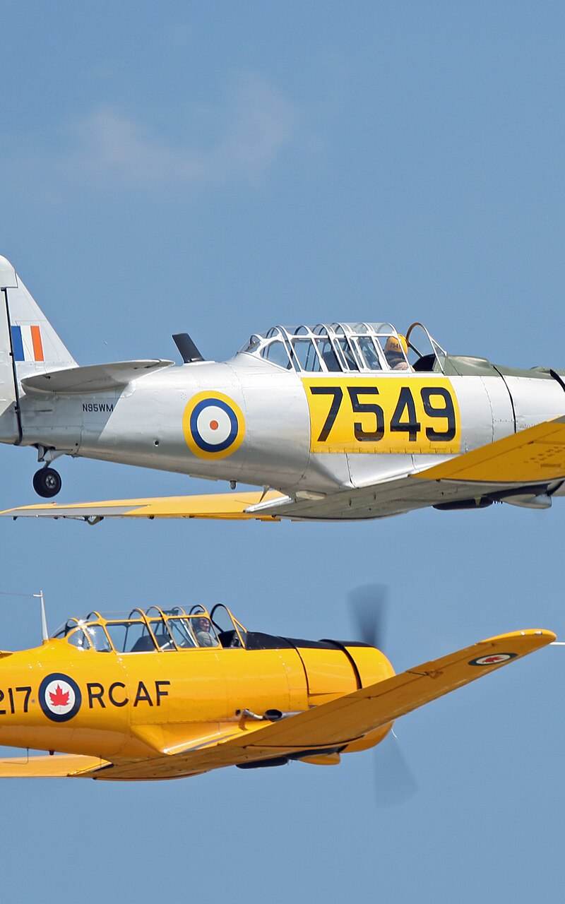N47217 - Single-engine aircraft
